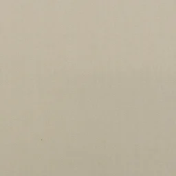 R-117 kość słoniowa